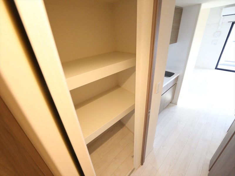 パークアクシス名古屋山王 廊下にある収納（収納充実してます）