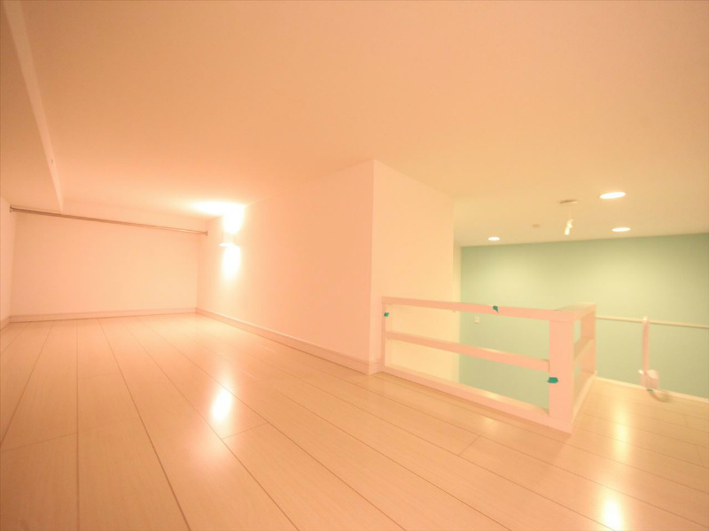 ｓｏｆｉｔｅｌ鶴里（ソフィテルツルサト） ロフト5.1帖（収納としてもお部屋としても使えます）