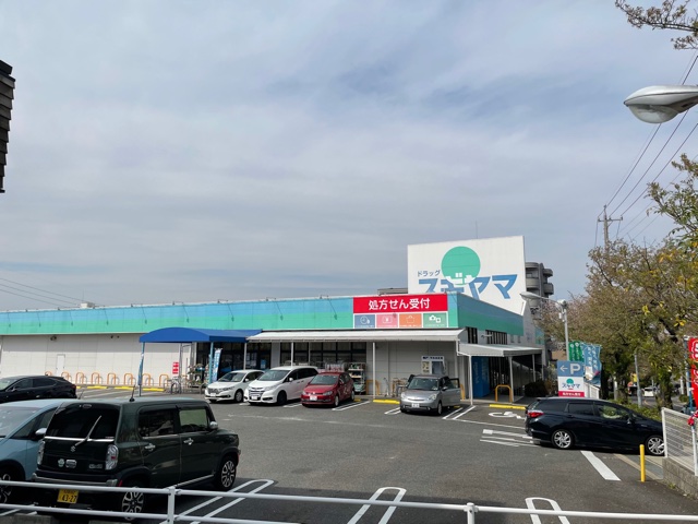 ＳＥＲＥＮＵＳ塩釜口（セレヌス塩釜口） ドラッグスギヤマ 植田店（ドラッグストア）