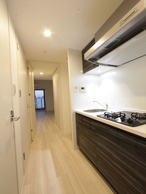 S-RESIDENCE本郷 システムキッチン（ガス2口コンロ付き）収納スペース充実