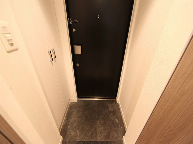 プレサンス丸の内城雅 玄関　シューズボックス付（収納充実してます）