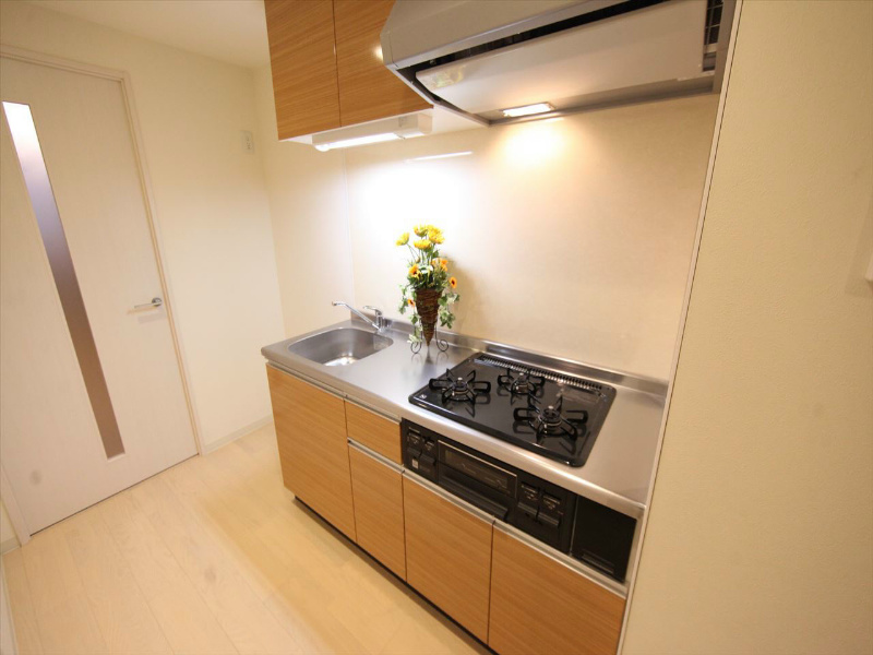 ＣＡＳＡ　ＬＵＣＡ（カーサルカ） システムキッチン（ガス3口コンログリル付）