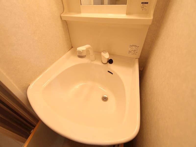 サンク栄みなみマンション 脱衣所　独立洗面台（シャンプードレッサー）洗濯機用意できます