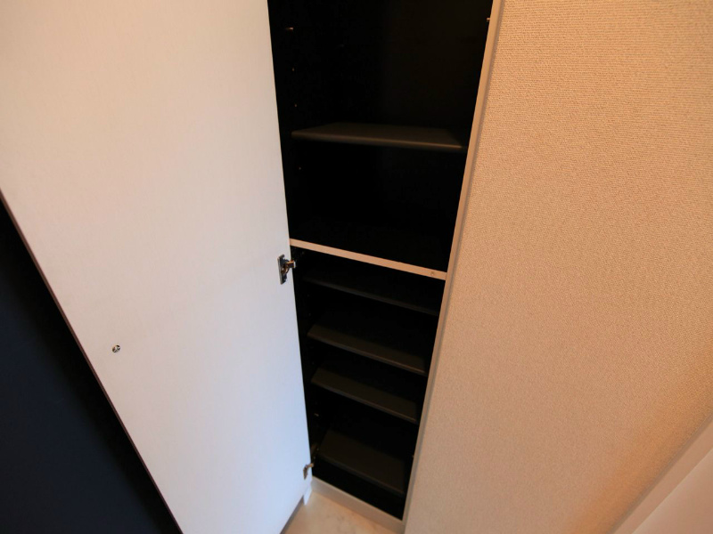 プロシード新栄 玄関　シューズボックス付（収納充実してます）