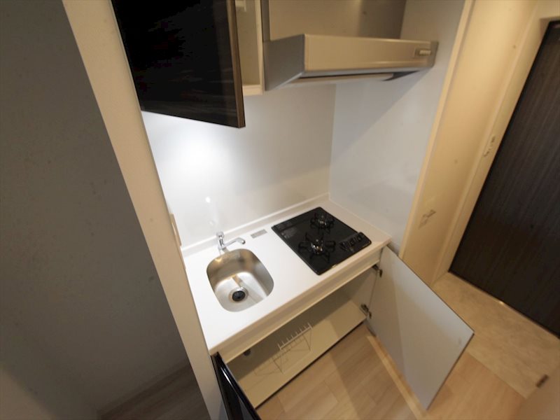 S-RESIDENCE本郷 システムキッチン（ガス2口コンロ付き）収納スペース充実