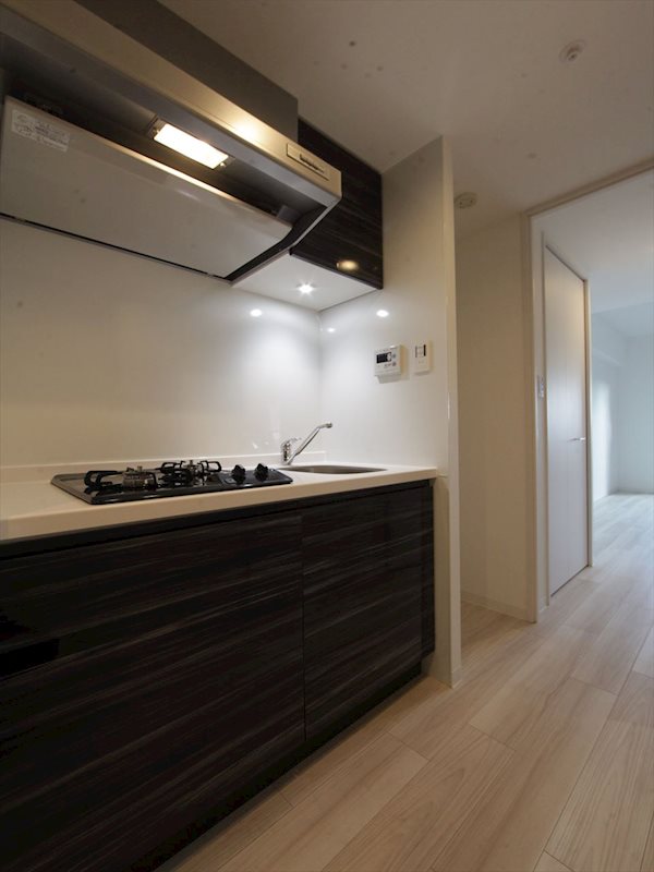 S-RESIDENCE本郷 システムキッチン（ガス2口コンロ付き）収納スペース充実