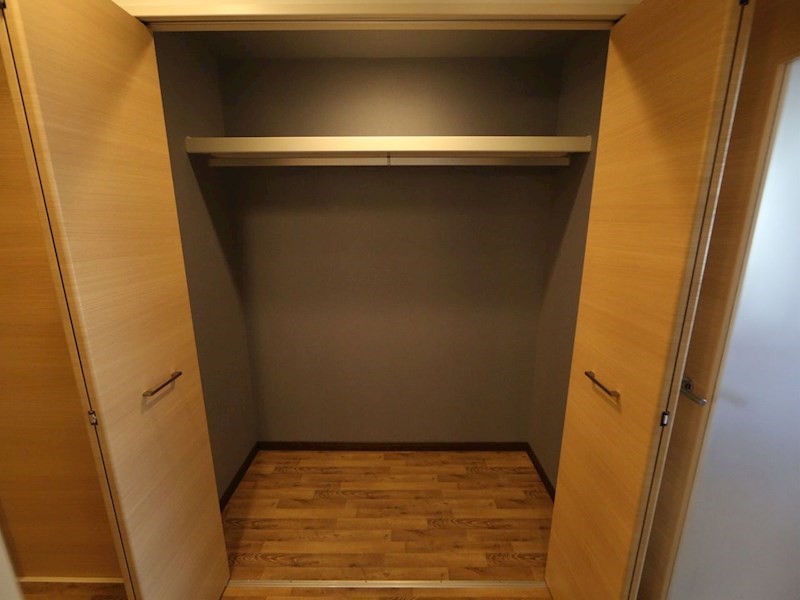 Ｎａｐａｒｔｍｅｎｔ（Ｎアパートメント） 廊下にある収納（収納充実してます）