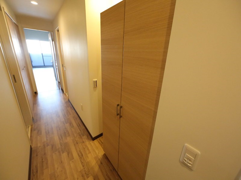Ｎａｐａｒｔｍｅｎｔ（Ｎアパートメント） 玄関　シューズボックス付（収納充実してます）