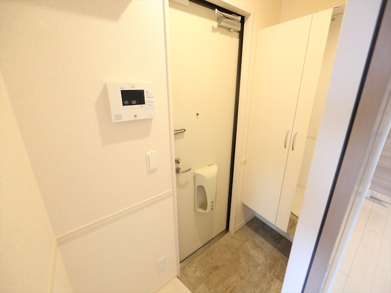Ｄ－ｒｏｏｍ尾頭橋Ａ 玄関　シューズボックス付（収納充実してます）