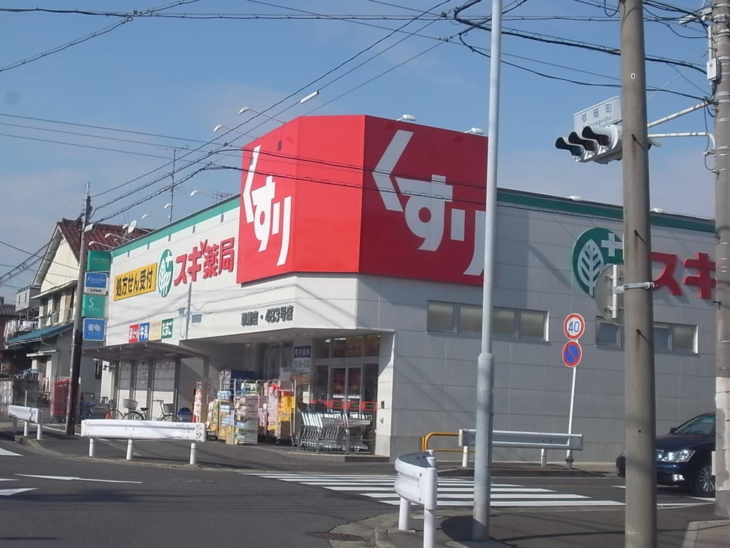 カシオペアコート スギ薬局 草薙店 (ドラッグストア)
