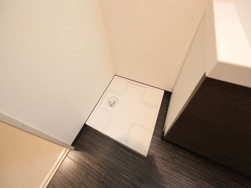 スティングレイつるま 脱衣所　室内洗濯機置き場