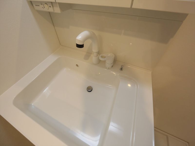 Alba Grande名護屋（アルバグランデ名護屋） 脱衣所　シャンプードレッサー　室内洗濯機置き場