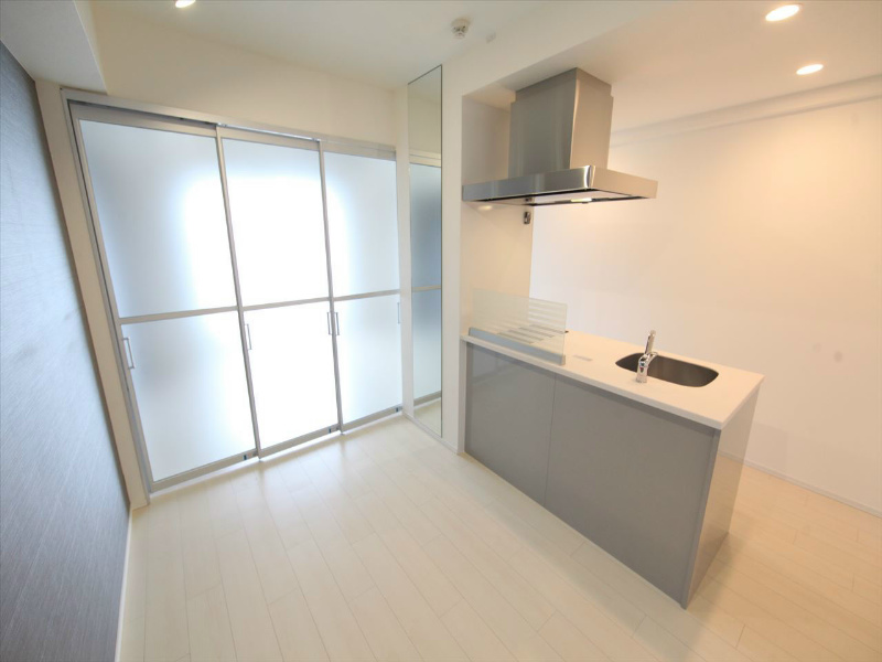 ＩＡＲＩＭ新瑞橋 ＤＫ7帖　カウンターキッチン　姿鏡付き