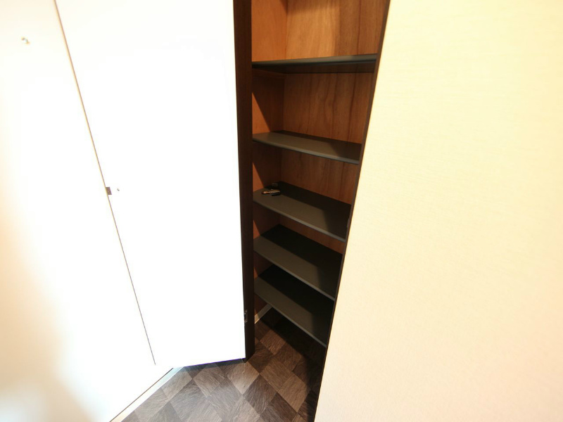 ＴＯＹＯＯＫＡ　ＡＰＡＲＴＭＥＮＴ（トヨオカアパートメント） 玄関　シューズボックス付（収納充実してます）
