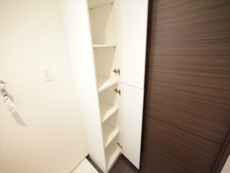 スティングレイつるま 脱衣洗面所に棚付き