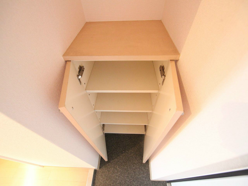 ｗｉｌｌＤｏ日比野 シューズボックス