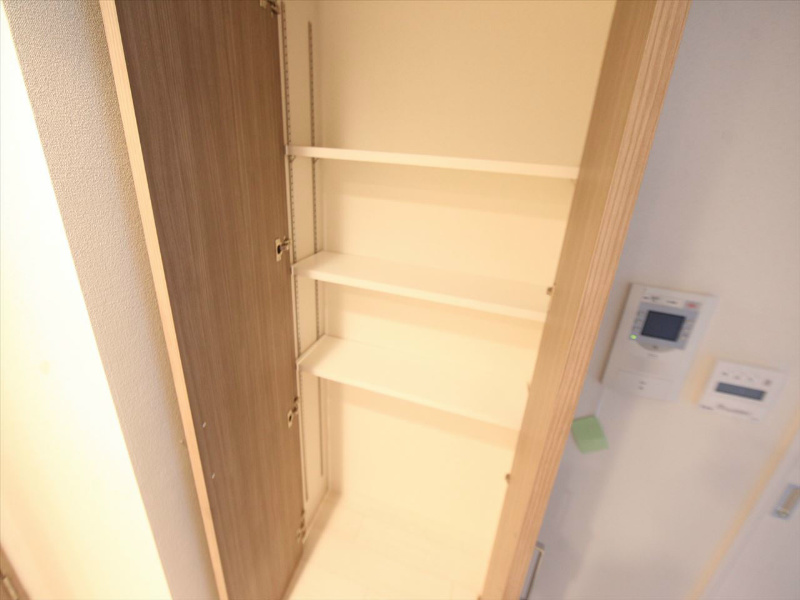 プレサンス丸の内城雅 収納棚　収納充実してます