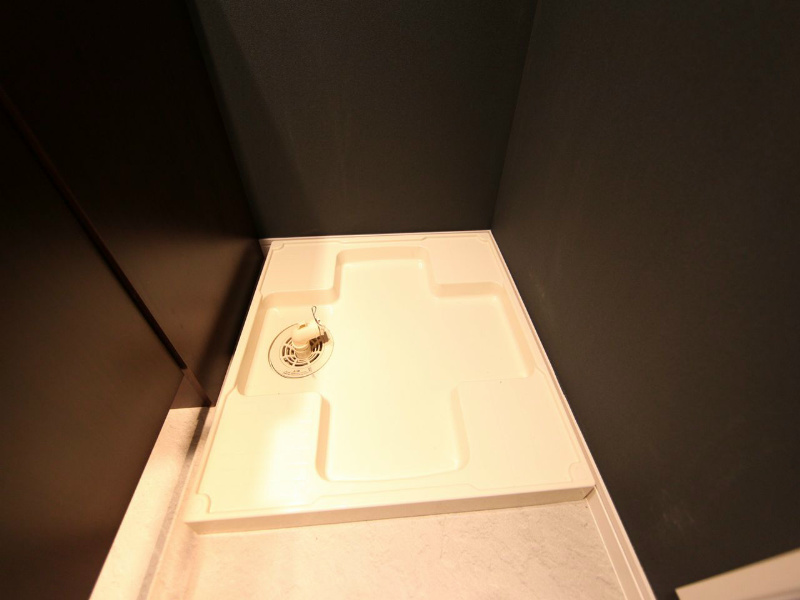 Ｌｕｎａｐｏｒｔ（ルナポート） 脱衣所　室内洗濯機置き場