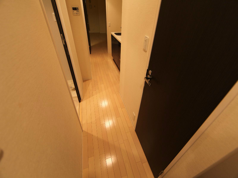レジディア白壁 玄関　シューズインクローク（収納充実してます）