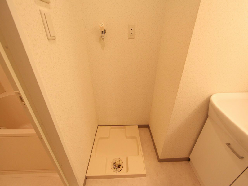 ミコノス山王 脱衣所　室内洗濯機置き場