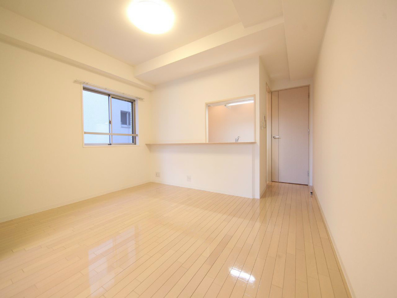 カスタリア栄 ＬＤ8帖　カウンターキッチン　照明付き