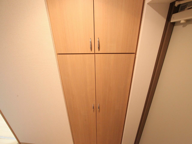 プロビデンス杁中 玄関　シューズボックス付（収納充実しています）
