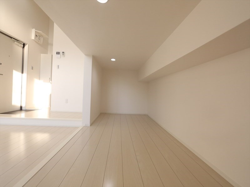 セストチッタ六番町 アンダーロフト5帖（収納でも寝室でも使えます）