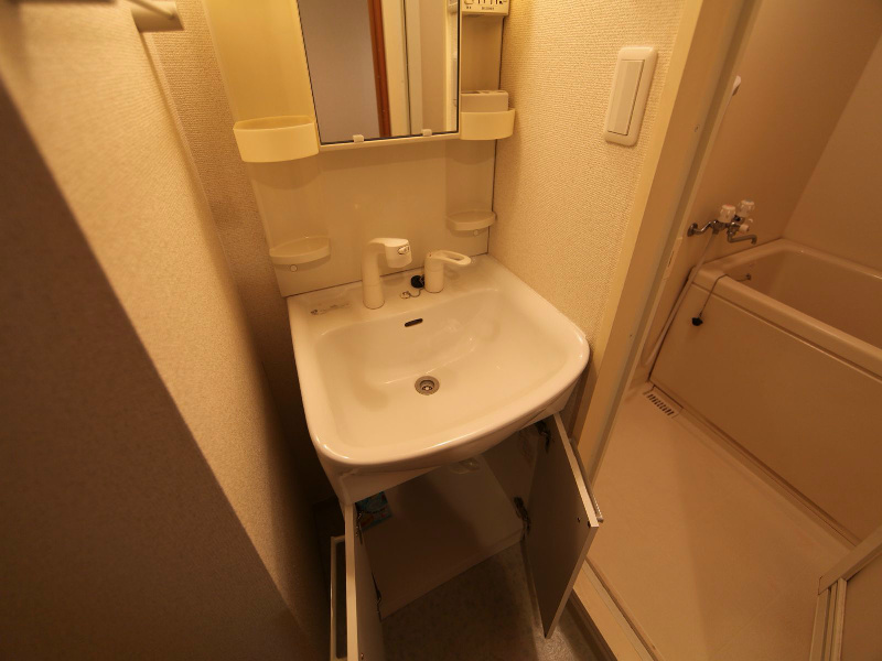 アールズコート葵 脱衣所　独立洗面台（シャンプードレッサー付）収納スペース有
