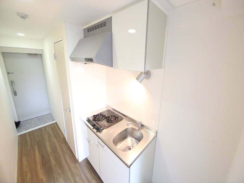 スカイホース システムキッチン（ガス2口コンロ付）