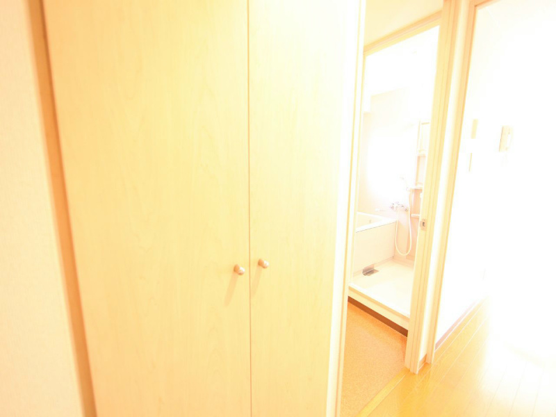 愛知県名古屋市中村区則武２丁目 玄関　シューズボックス付（収納充実してます）