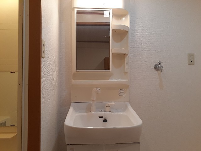 レジデンス高道 洗面所