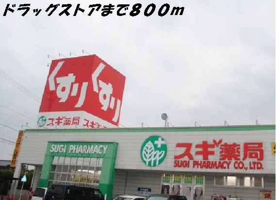 ファミール花塚 スギ薬局まで800m