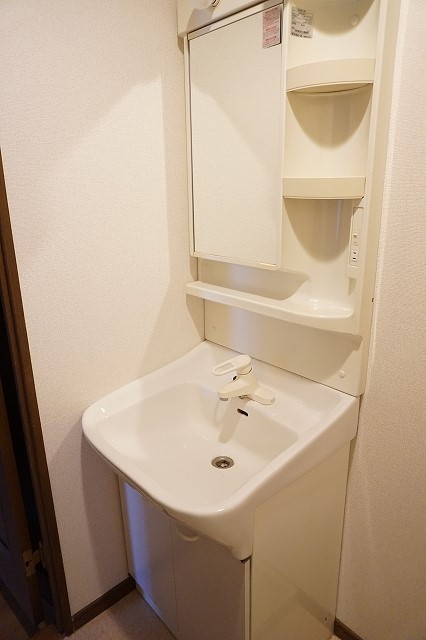 ダルウィニー 洗面所