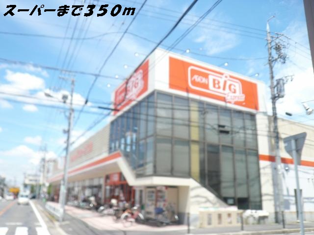 サンハイム和泉 ビッグまで350m