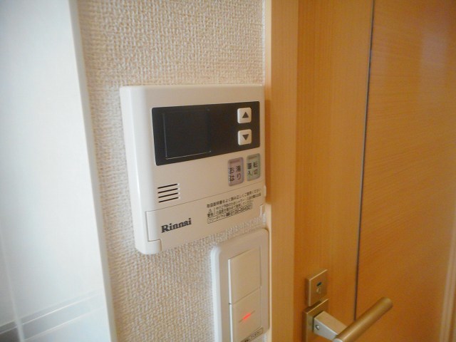 プラシード　Ⅰ その他