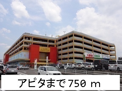 アイナ アピタまで750m