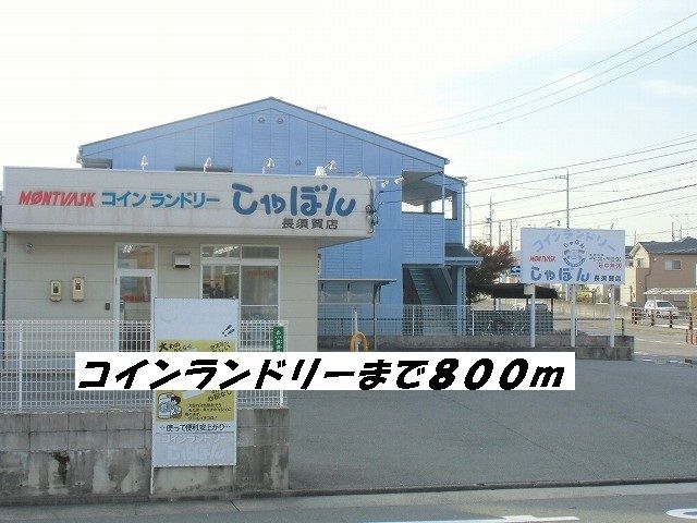 アルドール コインランドリーまで800m