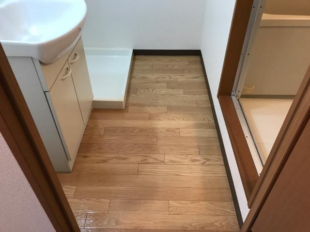 ノースフェザント 脱衣所