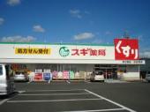 リアン花塚 スギ薬局野立橋店まで825ｍ