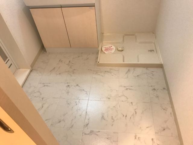 プレザンス・カメリア 脱衣所