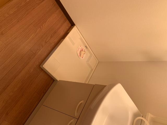ポラリス 洗濯機置場
