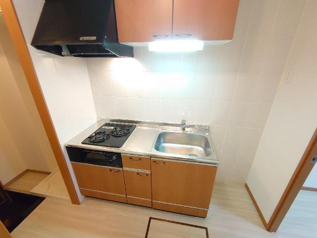 ルーエンハイム システムキッチン