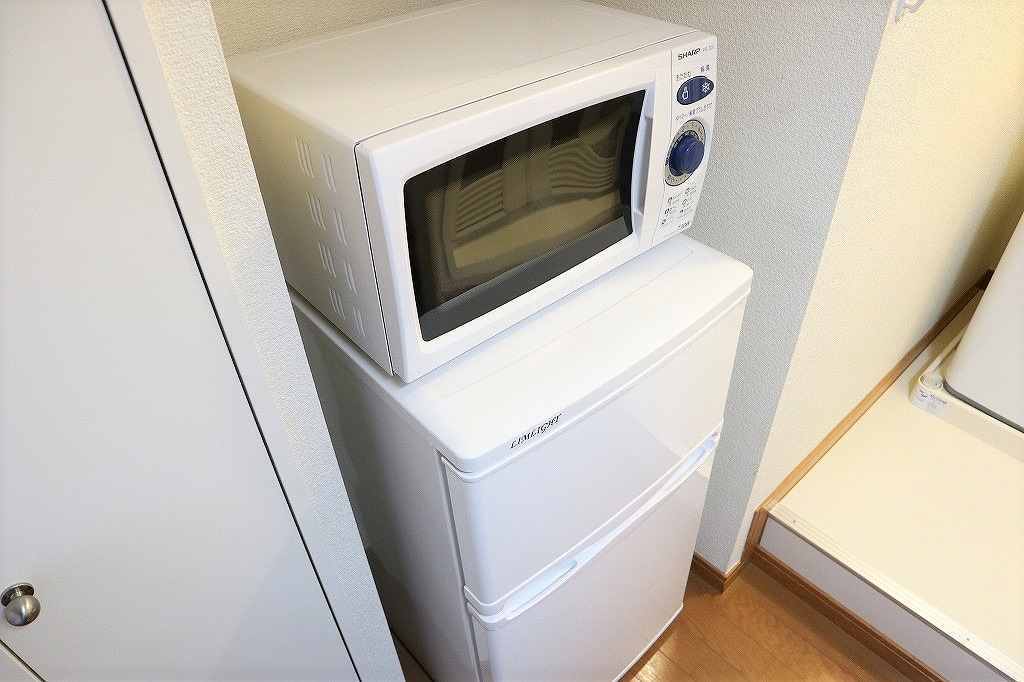 レオパレスカトレア その他