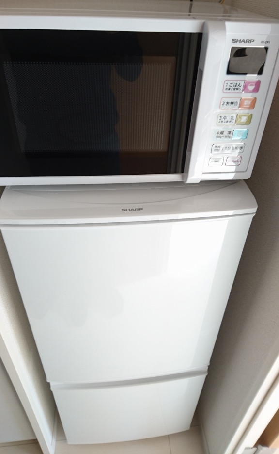 クレイノ太閤通 その他