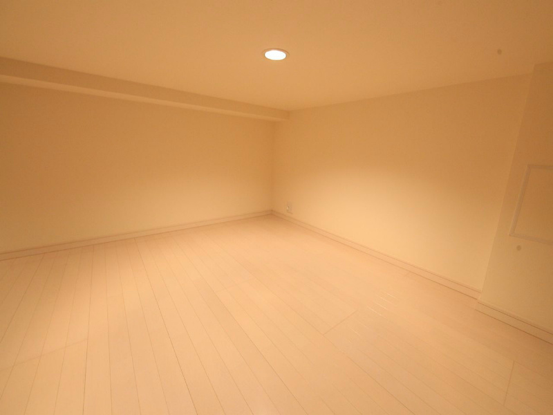 メゾンラフィネ 上階ロフト5.86帖（収納としてもお部屋としても使えます）