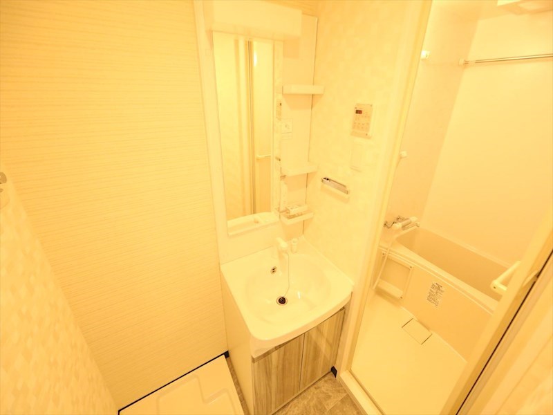Ｓ－ＲＥＳＩＤＥＮＣＥ金山ＷＥＳＴ 脱衣所　独立洗面台（シャンプードレッサー付）収納スペース有