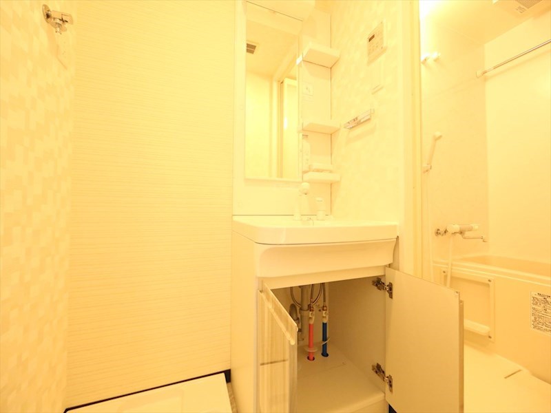 Ｓ－ＲＥＳＩＤＥＮＣＥ金山ＷＥＳＴ 脱衣所　独立洗面台（シャンプードレッサー付）収納スペース有