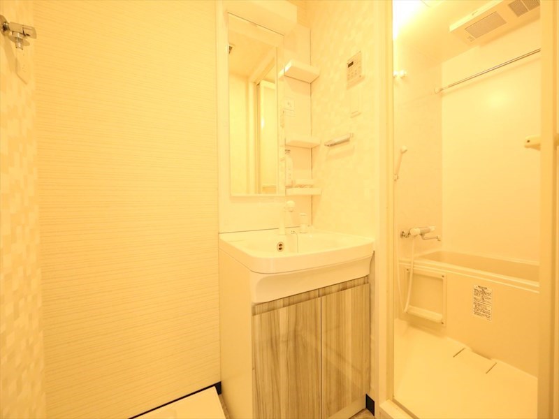 Ｓ－ＲＥＳＩＤＥＮＣＥ金山ＷＥＳＴ 脱衣所　独立洗面台（シャンプードレッサー付）収納スペース有