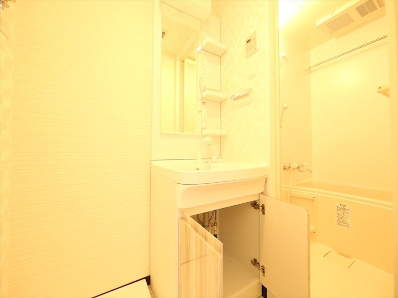 Ｓ－ＲＥＳＩＤＥＮＣＥ金山ＷＥＳＴ 脱衣所　独立洗面台（シャンプードレッサー付）収納スペース有