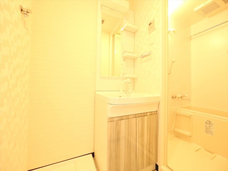 Ｓ－ＲＥＳＩＤＥＮＣＥ金山ＷＥＳＴ 脱衣所　独立洗面台（シャンプードレッサー付）収納スペース有